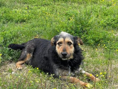Thelma