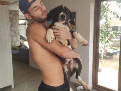 Rudi