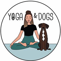 Yoga & dogs 