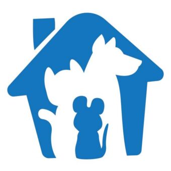 dierenoppas amersfoort