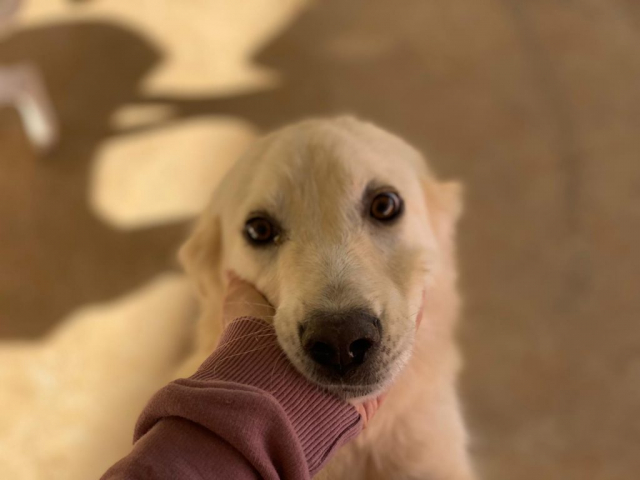 Molly
