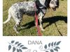 Dana-768x768