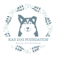 Logo KDF